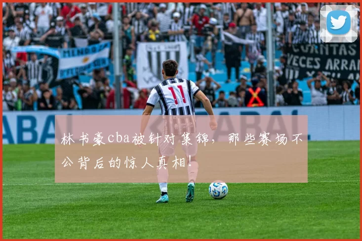 林书豪cba被针对集锦，那些赛场不公背后的惊人真相！