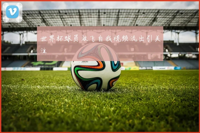 世界杯球员放飞自我视频流出引关注